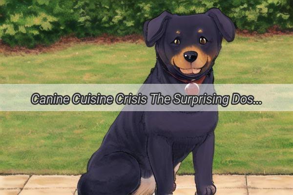 Canine Cuisine Crisis The Surprising Dose of Sanjin Tablets That Could Save Your Pups Life